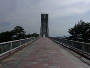 [ڂ̌lClTZbgubW̓eʐ^1