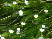 ݁[񂳂̂т΃oC̓eʐ^3