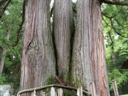 ponta̎O{(ˉB_В)̓eʐ^1