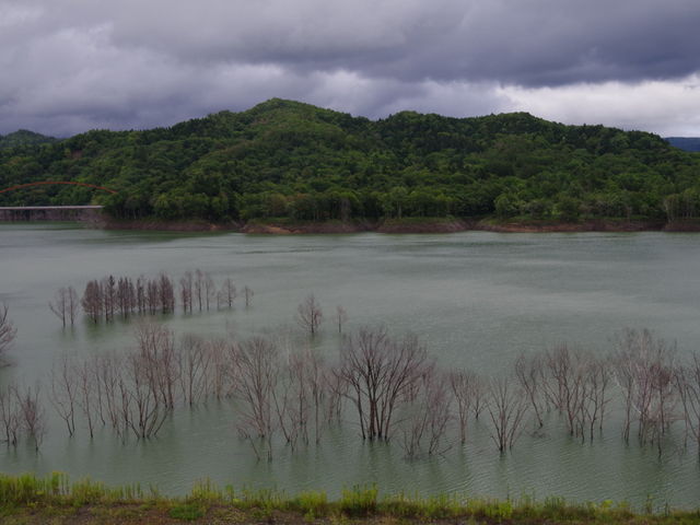 ���z�I�ȌΖ�_�V���[�p����