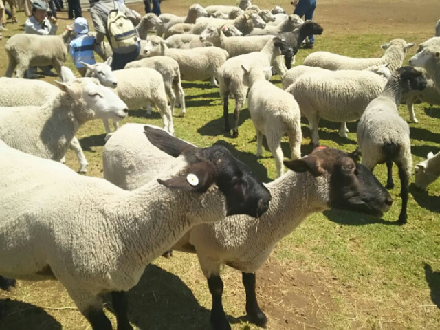 �Ђ�_�}�U�[�q��