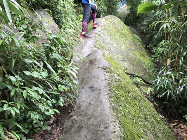 �n�̔w�E���̔w�͊���₷������_�O���R