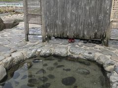 シトラさんの河原風呂の投稿写真1