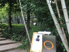 �A�L������̓��{�����@�e�b�Z���ւ̓��e�ʐ^1