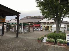 �L�����������̂ł�������̖q�V���T�[�r�X�G���A�i����j�ւ̓��e�ʐ^1