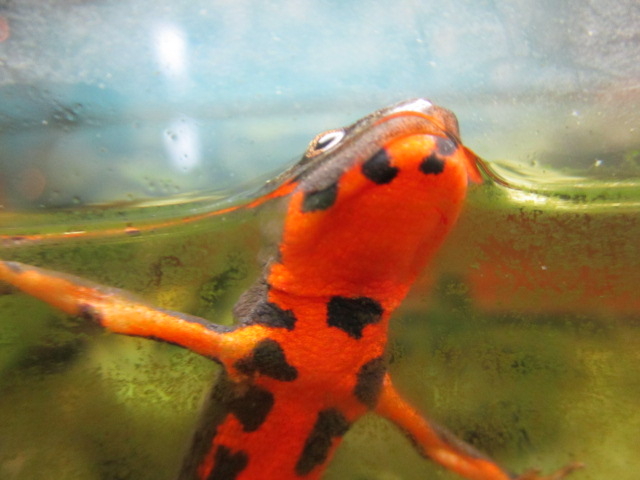 �r�W�^�[�Z���^�[�ɂ����_�x����i�x���r�W�^�[�Z���^�[�j