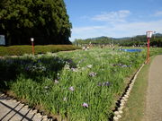 hitujỉΐ_Ђ̓eʐ^2