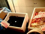 tMCCB SEAFOOD RESTAURANT&BAR̓eʐ^1