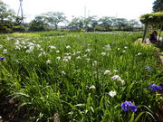 hitujỉ΂傤ԉ̓eʐ^2