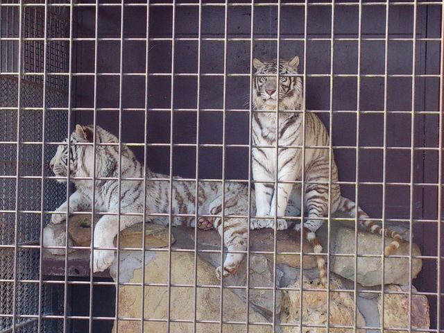 �g��_�H�g�䎩�R���������T�t�@�������h