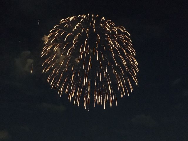 �ԉ�_�O�D����