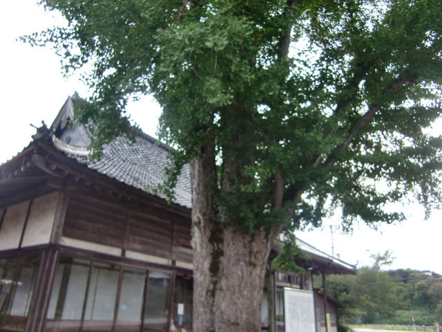 �~�n�ɂ͑�؂�����܂����B_��v�쒃��