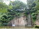 moomiさんのやくの玄武岩の投稿写真1