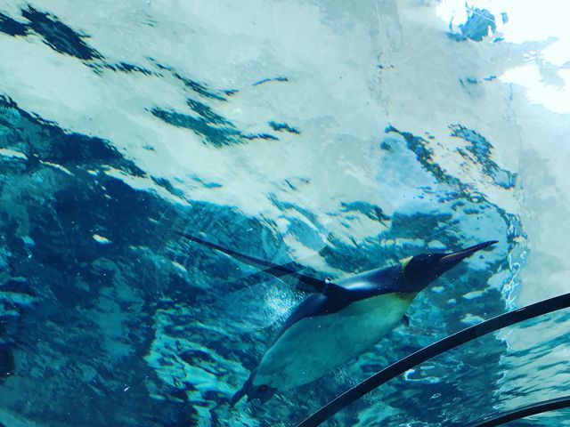 �y���M�����j���p�������猩��܂�_���R������