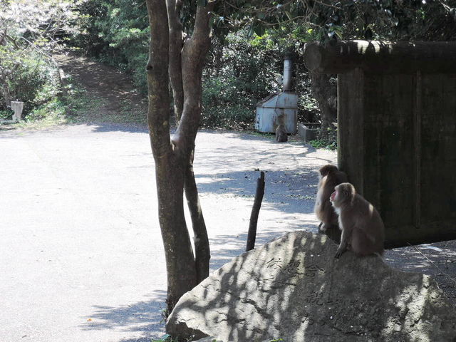 ��������_�哰�R���R�T���H