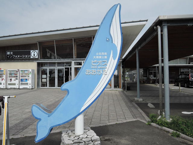 ���̉w�r�I�X��������_�y�������K�͌����i����n��j