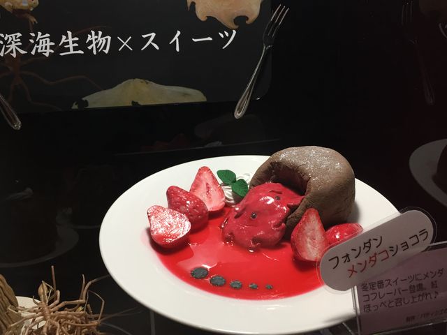 �t�H���_�������_�R�V���R��_���Í`�[�C�����ف`�V�[���J���X�E�~���[�W�A���`