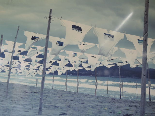 GW�ɊJ�Â����s�V���c�A�[�g�W�I_�y�������K�͌����i����n��j