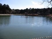 ɂ񂳂̐MBō̍̓eʐ^2