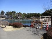 ɂ񂳂̐MBō̍̓eʐ^3