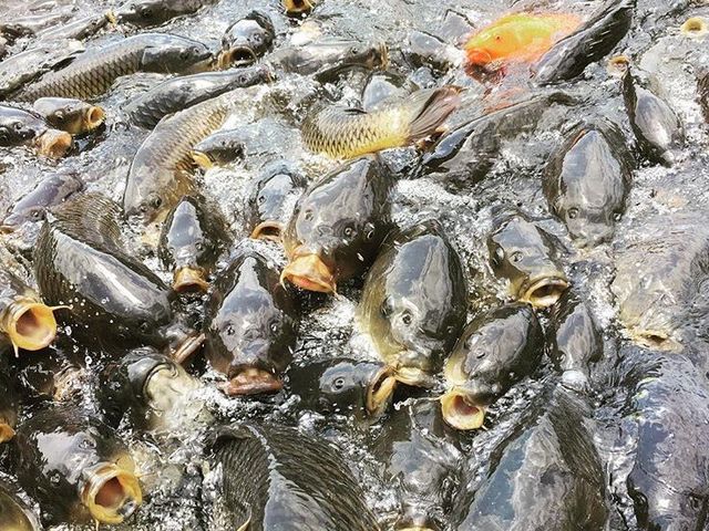 ������ǂ��ł�_�싽���Y�Z���^�[