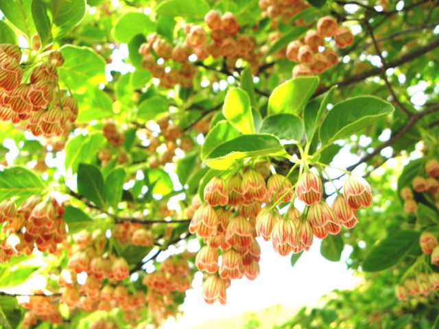 �T���T�h�E�_���c�c�W_�b�R