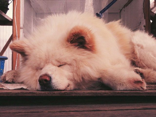 �����⏤�X