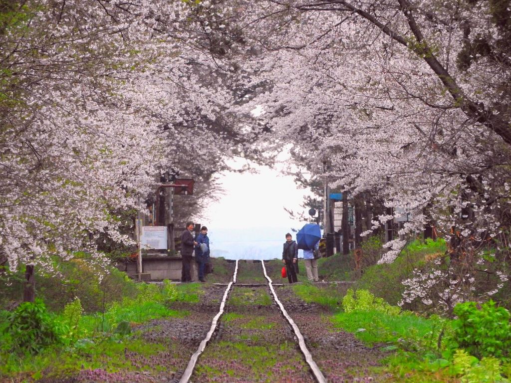 東北 この春行くべき絶景スポット30選 弘前公園の桜などお花見デートにもおすすめ じゃらんニュース