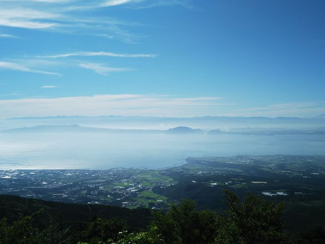 �����_���o�Ă��܂����A�V���̓��X�ł�_�m�c�����W�]��