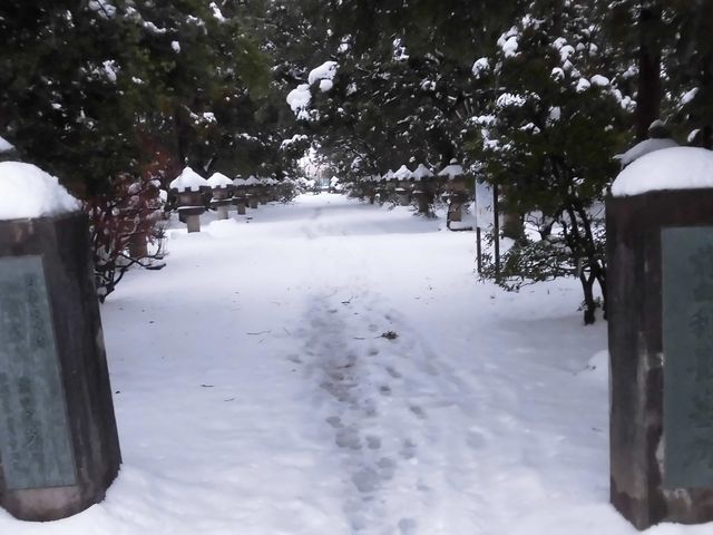 �@_�O�c�����揊