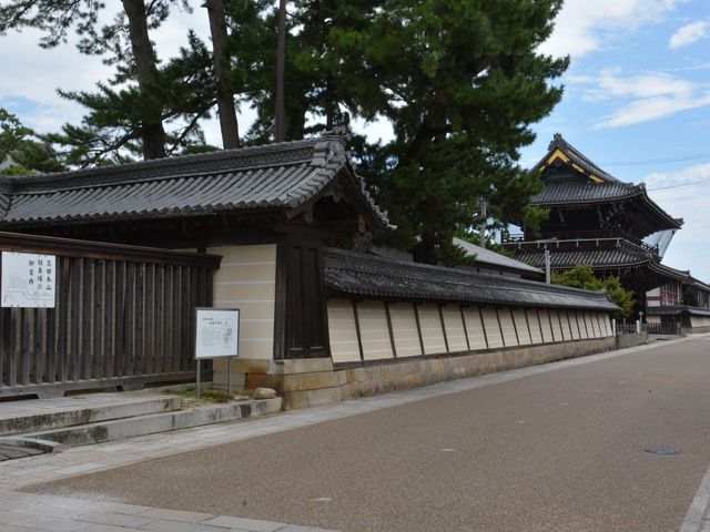 ����_���c�{�R��C��