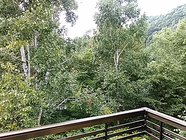 ��������̌i�F_崌k����