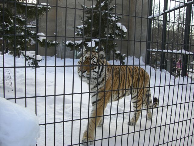 �g����������܂�_���R������