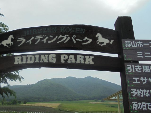 �����_�f�R�z�[�X�p�[�N