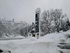 雪におおわれ - 魚沼スカイライン（十二峠入口）のクチコミ