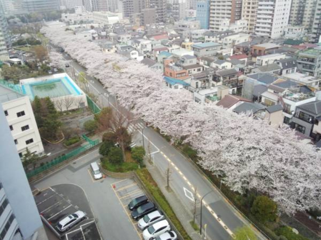 東京のおすすめ桜名所41選 開花見頃予想も 春のお花見に じゃらんニュース