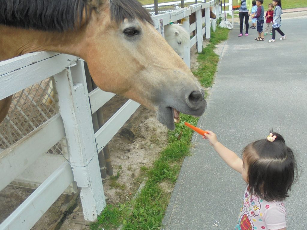 蒜山ホースパーク