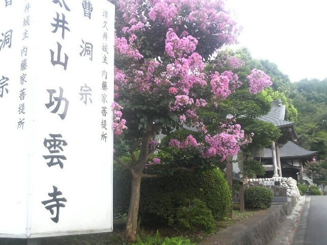 ���Ƃ��񂳂�̌��_���̓��e�ʐ^1