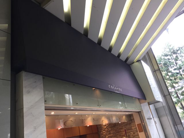 񂯂񂳂̃RJh {X̓eʐ^1