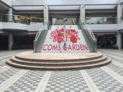 �}�������񂳂�̃R���Y�K�[�f���ւ̓��e�ʐ^1