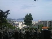 Ƃ񂳂̓yꑰ̕揊̓eʐ^4