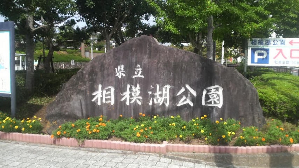 相模原市緑区の公園 庭園ランキングtop7 じゃらんnet