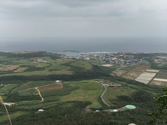 �^�ߍ��̋u�B_�F�Ǖ��x