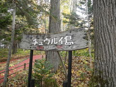 ̂Ԃ̈όDDi΃}N[Yjւ̓eʐ^1