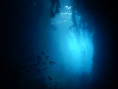 ̃}T[rXނʁ[ւ̓eʐ^1