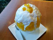 HirotañeB[nEX }[̓eʐ^1