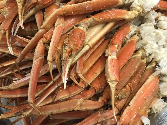 ~VF̖[lE~Tgze̓eʐ^1