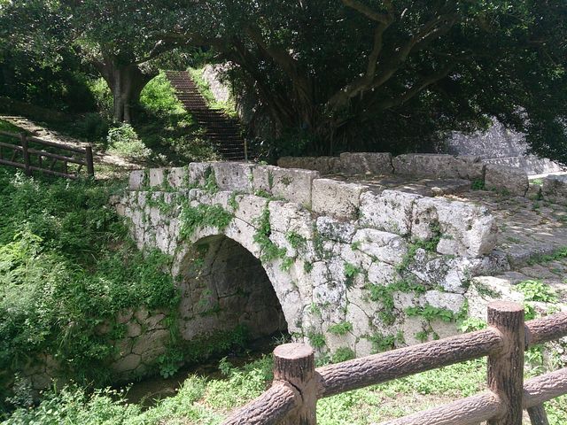 kijimunar����̃q�W�싴�y�ю�t���H�̓��e�ʐ^1