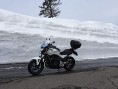 Ppp̎uꑐÍ[gւ̓eʐ^1