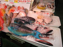 macha����̑��q�u���ݎs��ւ̓��e�ʐ^1